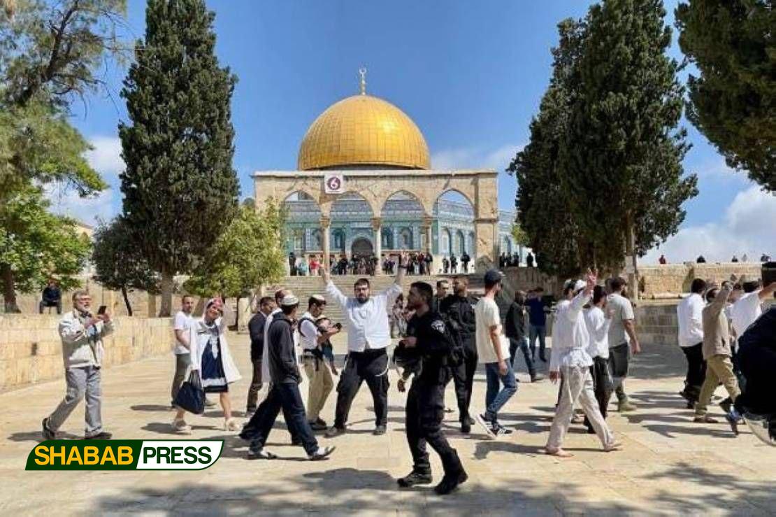 photo_2023-12-24_17-58-25