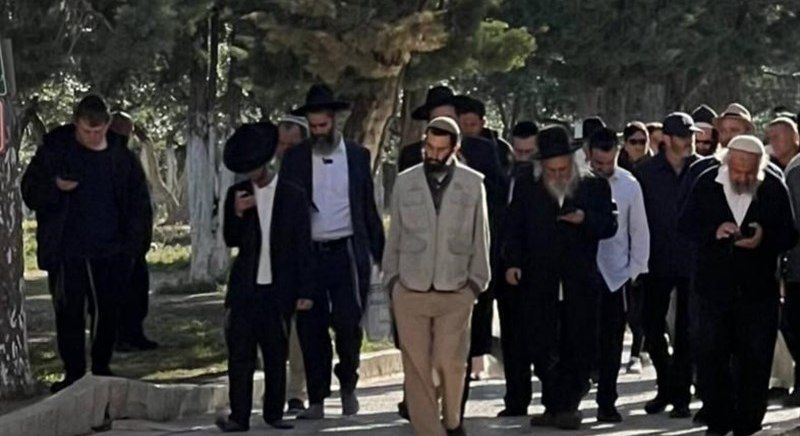 IMG_20240605_153913_265