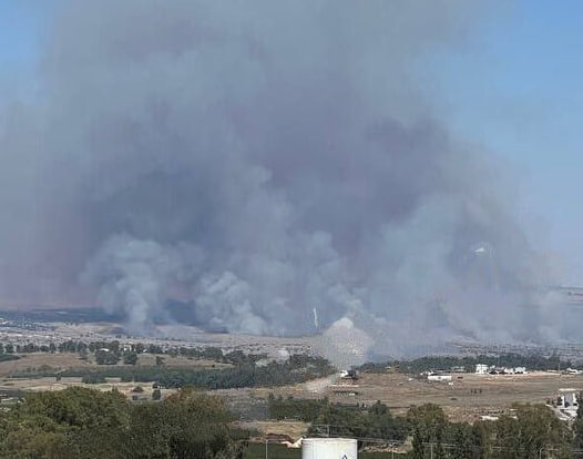 photo_2024-06-02_20-16-30