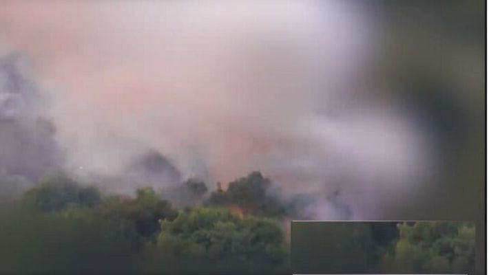 photo_2024-06-10_00-44-25