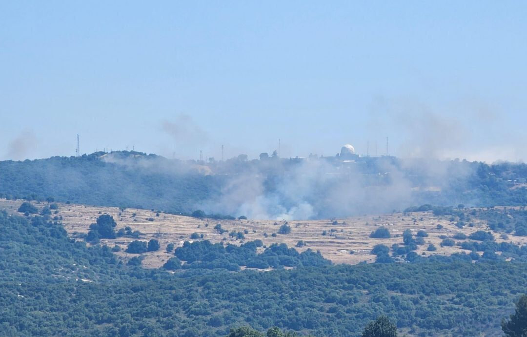 photo_2024-06-12_18-01-28