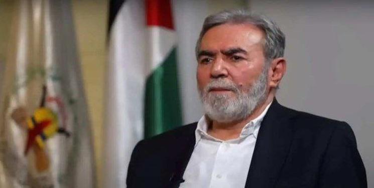 IMG_20241209_153037_567