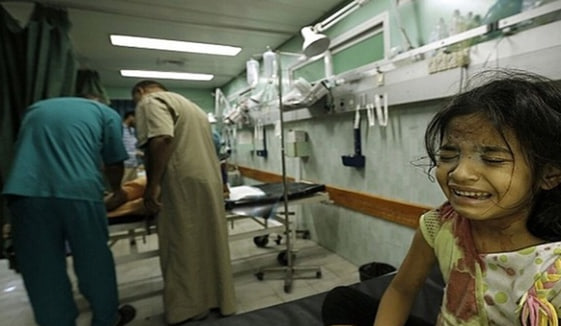 photo_2024-12-29_16-57-23