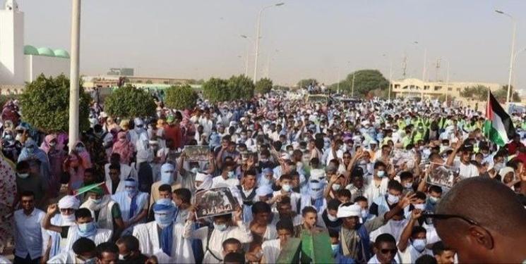 IMG_20250208_091638_797