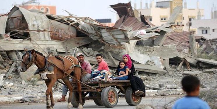 IMG_20250211_220719_141