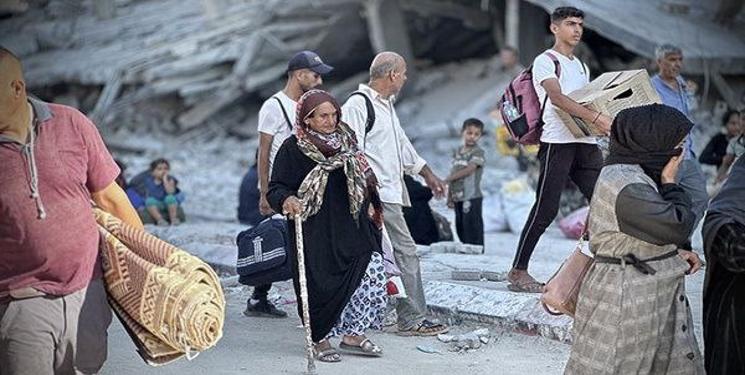 IMG_20250303_112242_968