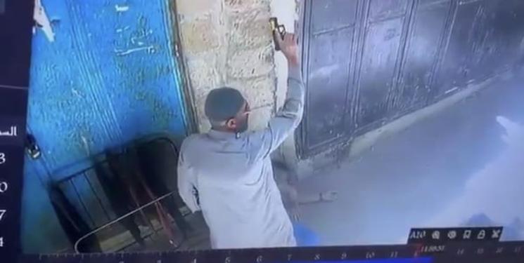 photo_2025-05-11_12-52-34