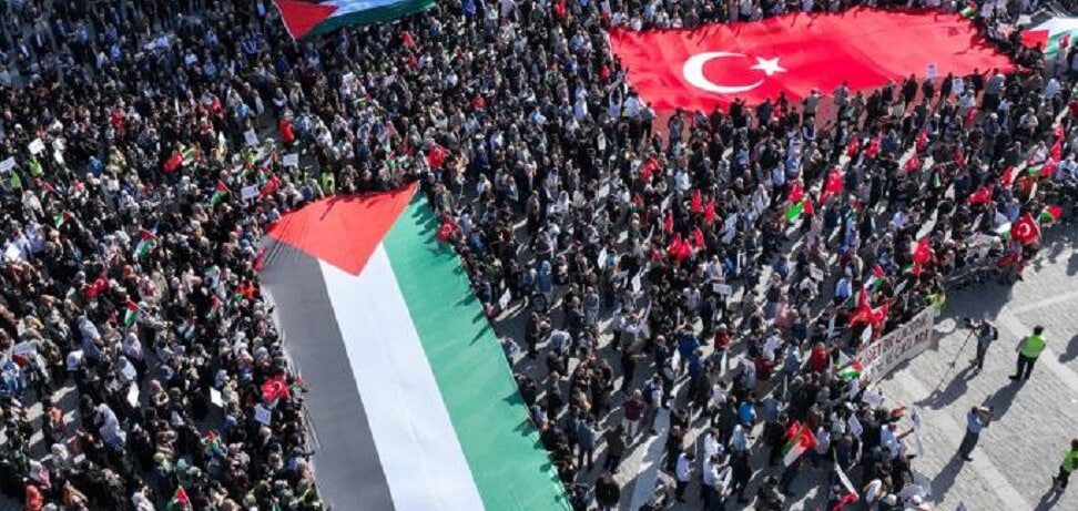 photo_2024-04-06_22-01-52