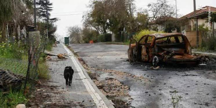 IMG_20240528_110552_835