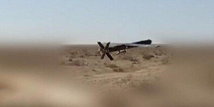 IMG_20240710_101132_758