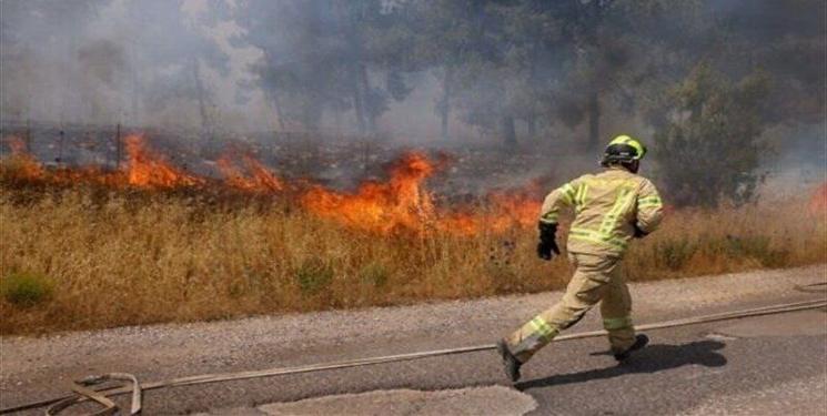 IMG_20240710_140401_952