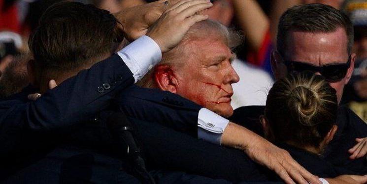 IMG_20240714_144508_020