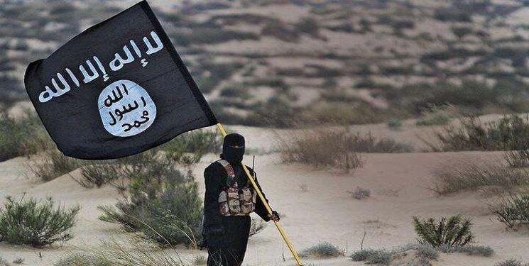 IMG_20240720_151523_560