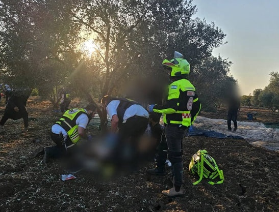 photo_2024-10-31_18-29-26