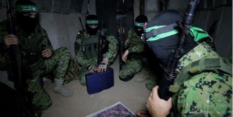 IMG_20241121_145123_732