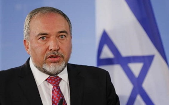 photo_2024-11-05_22-54-32