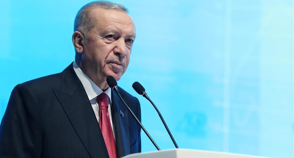 photo_2024-11-13_17-09-10