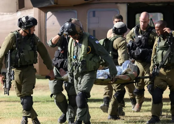 photo_2024-11-13_17-45-41