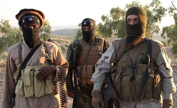 photo_2024-12-26_17-19-01