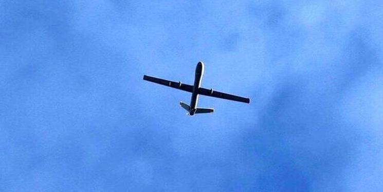 IMG_20250129_150216_518