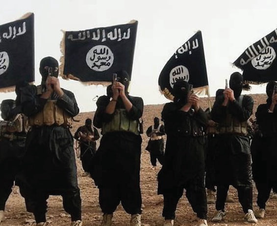 photo_2025-01-12_23-15-22