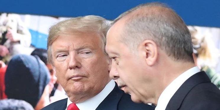 IMG_20250210_134153_541