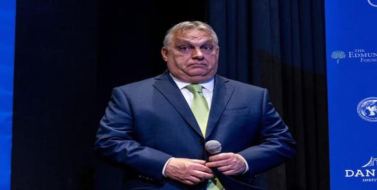 IMG_20250215_075052_302