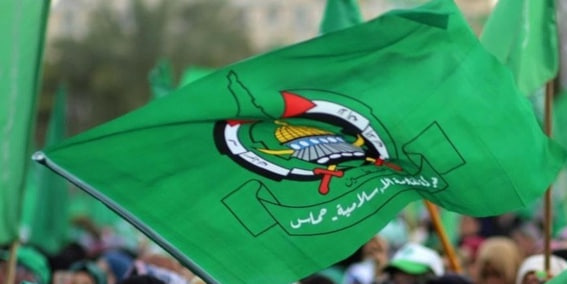 photo_2025-02-05_23-11-13