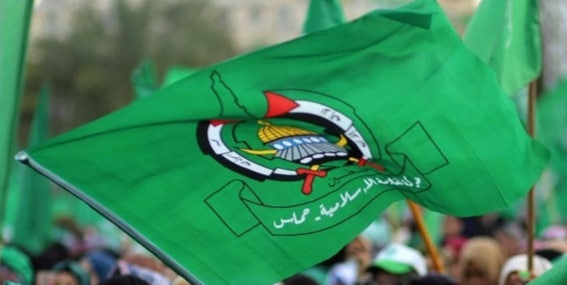 photo_2025-02-09_21-50-05