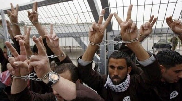 photo_2025-02-25_19-34-21