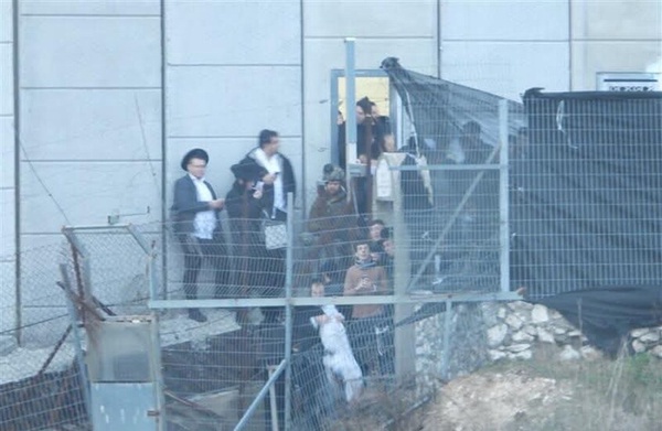 10709a62-198b-4ab9-9f5f-f9a0e8e56e51