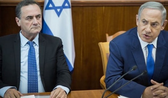 photo_2025-03-01_22-53-24