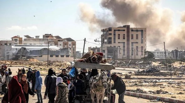 photo_2025-03-24_19-18-45