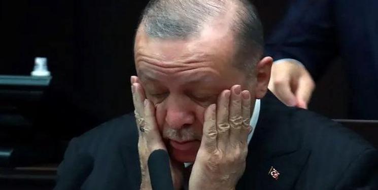 IMG_20250409_153619_275