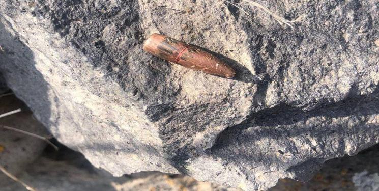 IMG_20250422_095459_266