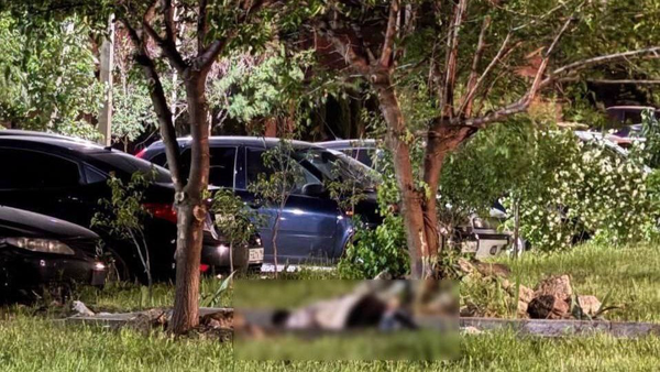 b01eb24d-7482-4530-8d5c-3d3789d9dd89