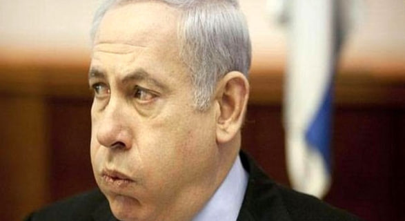 photo_2025-05-03_21-38-08