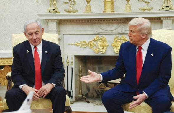 photo_2025-05-08_17-22-19