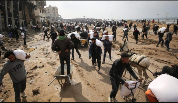 3406307c-1274-4204-8644-0e7ab3e428e5