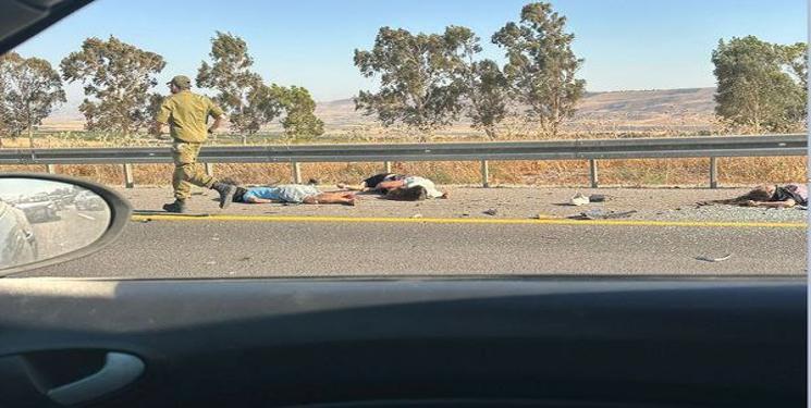 IMG_20250709_203019_261