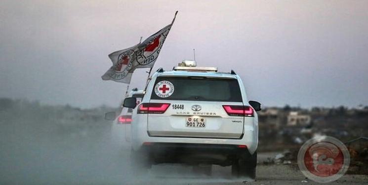 photo_2025-07-03_13-00-24