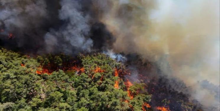 photo_2025-07-12_11-00-36